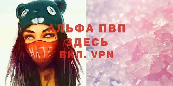 молекула духа Белоозёрский