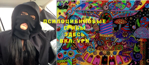 молекула духа Белоозёрский