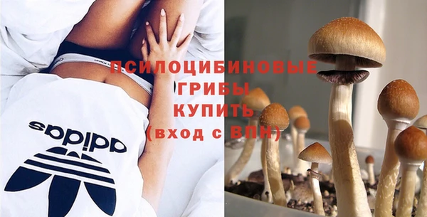 молекула духа Белоозёрский