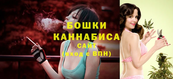 молекула духа Белоозёрский